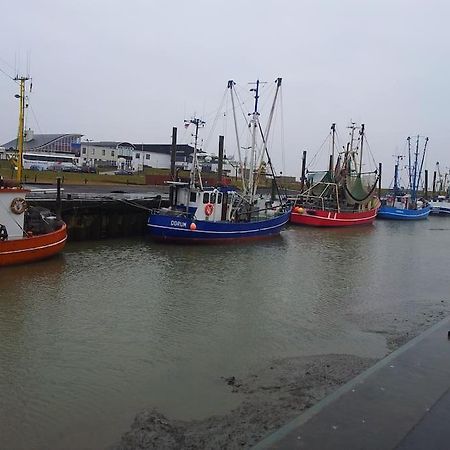 Nordsee Und Natur. Gemuetliche Fewo Mit Deichblick Dorumer Neufeld Buitenkant foto