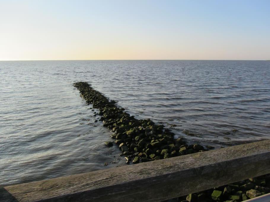 Nordsee Und Natur. Gemuetliche Fewo Mit Deichblick Dorumer Neufeld Buitenkant foto